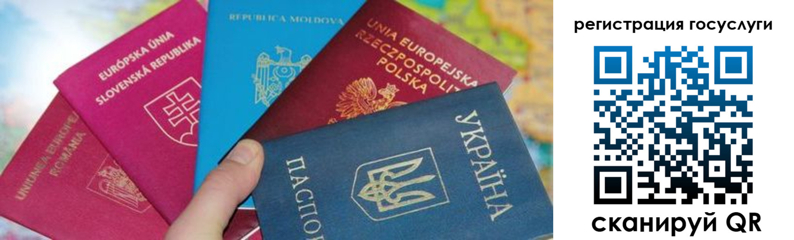 прописка гарантия в Озёрске